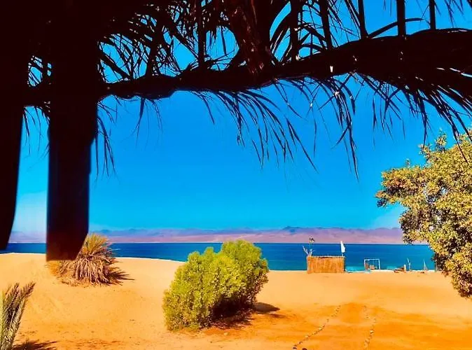 Blue Bird Village Otel