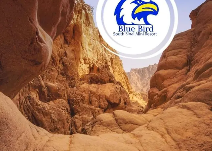 Otel Blue Bird Village 2*
